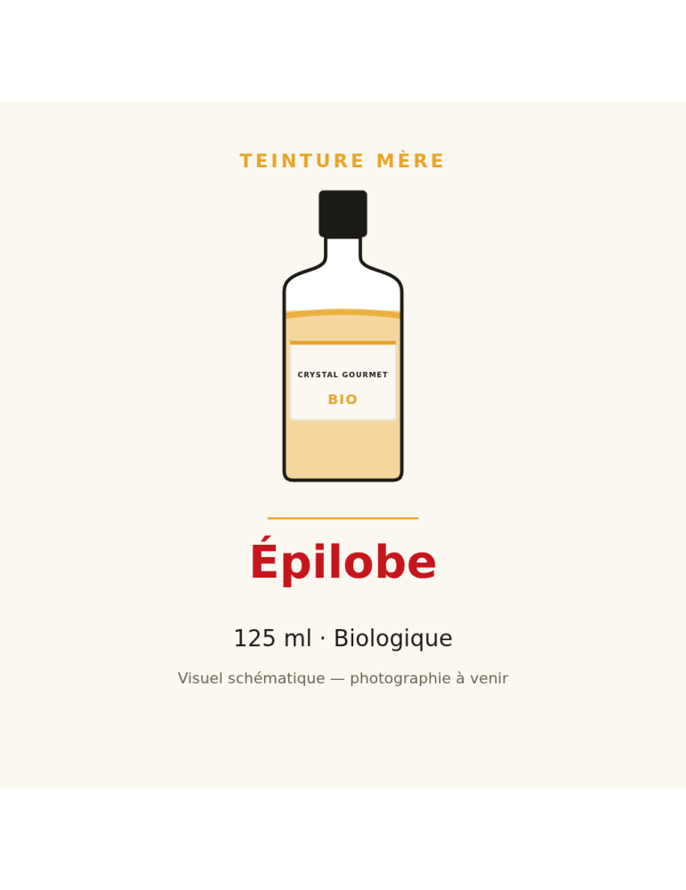 Teinture mère d'Épilobe bio (Epilobium parviflorum) - 125 ml