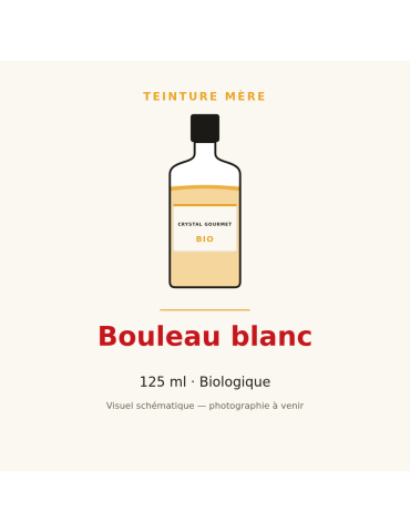 Teinture mère de Bouleau blanc bio (Betula pubescens) - 125 ml