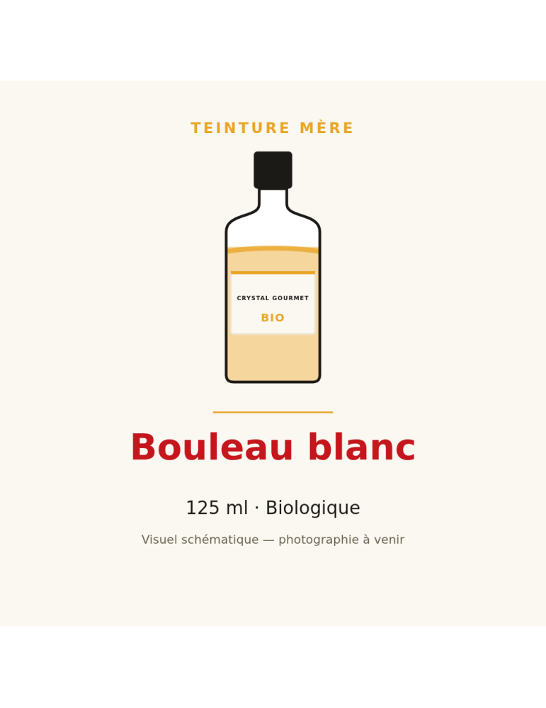 Teinture mère de Bouleau blanc bio (Betula pubescens) - 125 ml