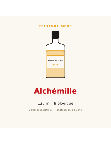 Teinture mère d'Alchémille bio - flacon 125 ml