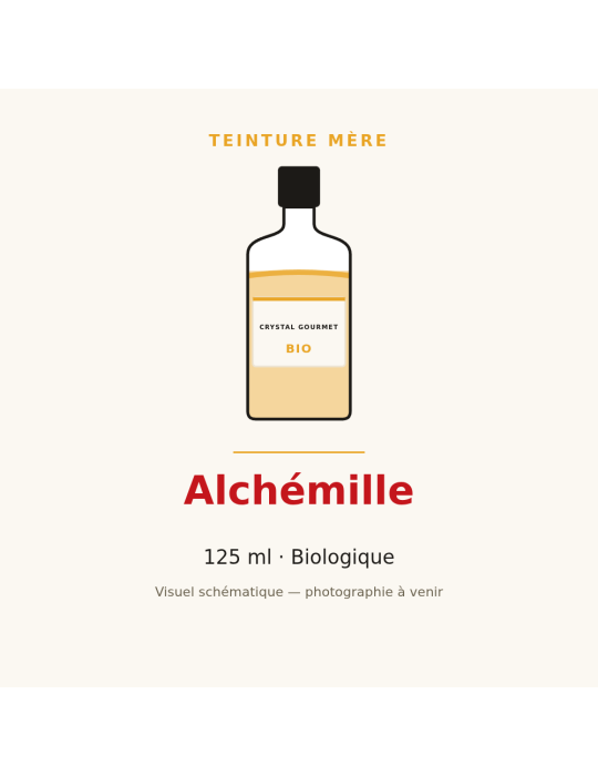 Teinture mère d'Alchémille bio - flacon 125 ml