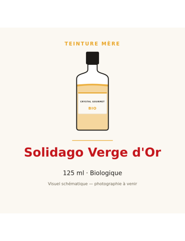 Teinture mère de Solidago Verge d'Or bio - 125 ml