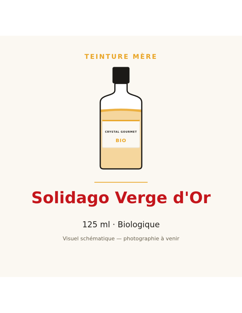 Teinture mère de Solidago Verge d'Or bio - 125 ml