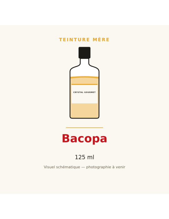 Teinture mère de Bacopa (Bacopa monnieri) - 125 ml