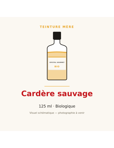 Teinture mère de Cardère sauvage bio - flacon 125 ml