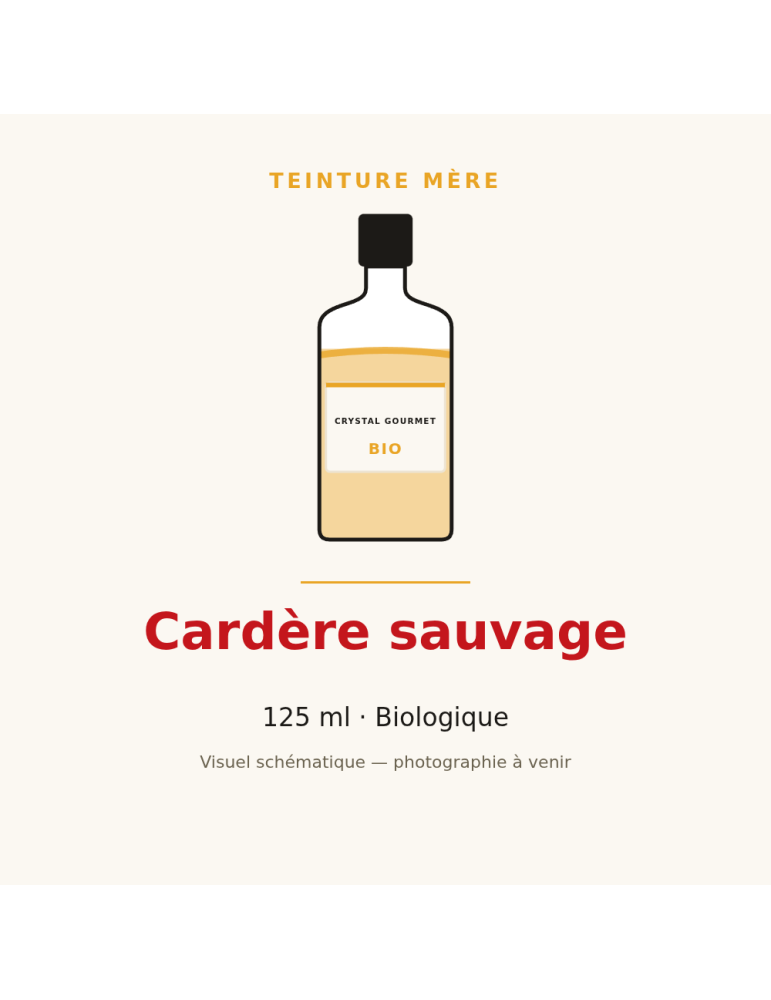 Teinture mère de Cardère sauvage bio - flacon 125 ml