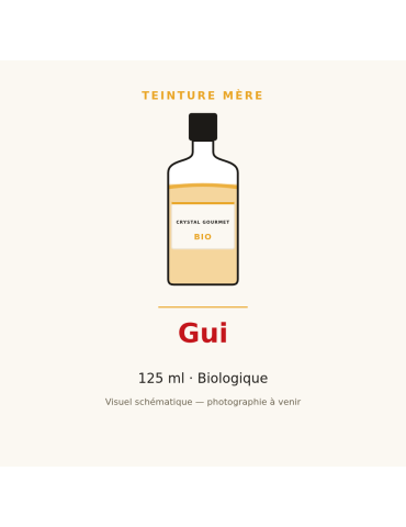 Teinture mère de Gui bio (Viscum album) - 125 ml