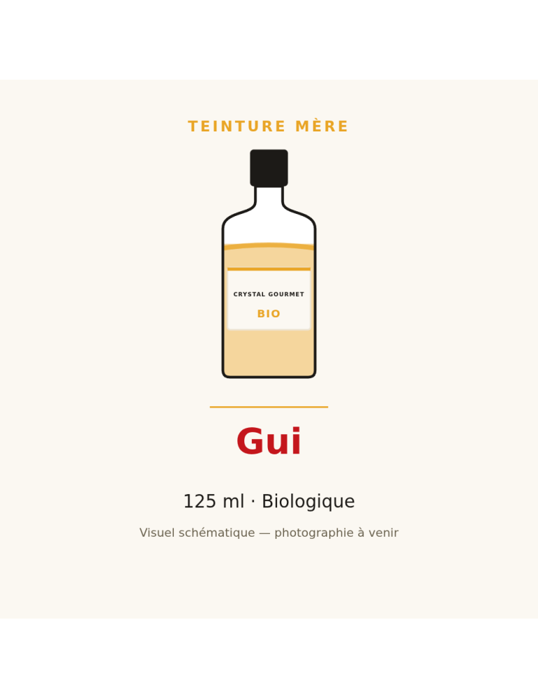 Teinture mère de Gui bio (Viscum album) - 125 ml