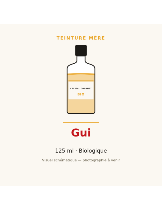 Teinture mère de Gui bio (Viscum album) - 125 ml