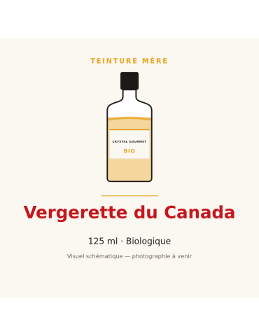 Teinture mère de Vergerette du Canada bio - 125 ml