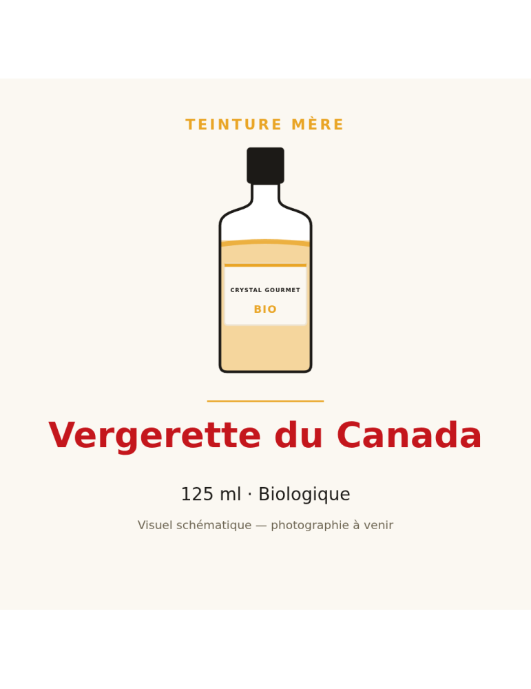 Teinture mère de Vergerette du Canada bio - 125 ml