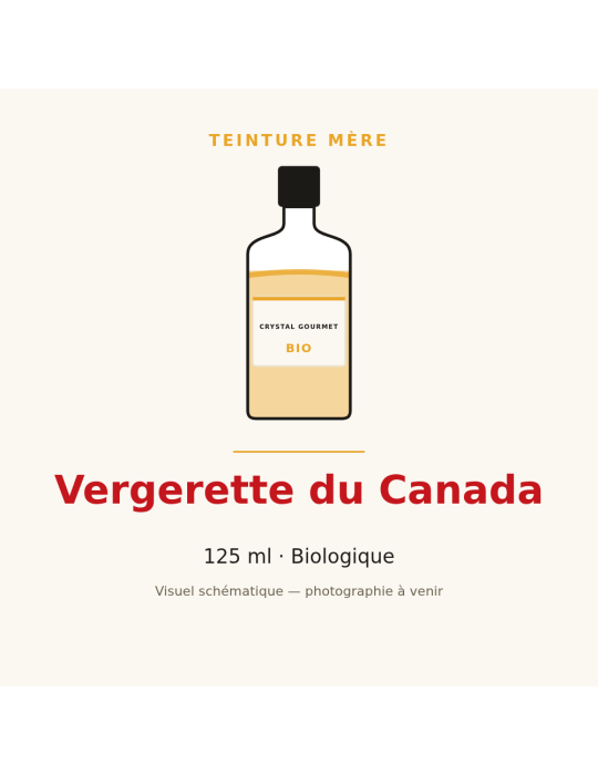 Teinture mère de Vergerette du Canada bio - 125 ml