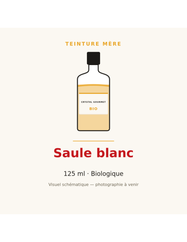 Teinture mère de Saule blanc bio - 125 ml