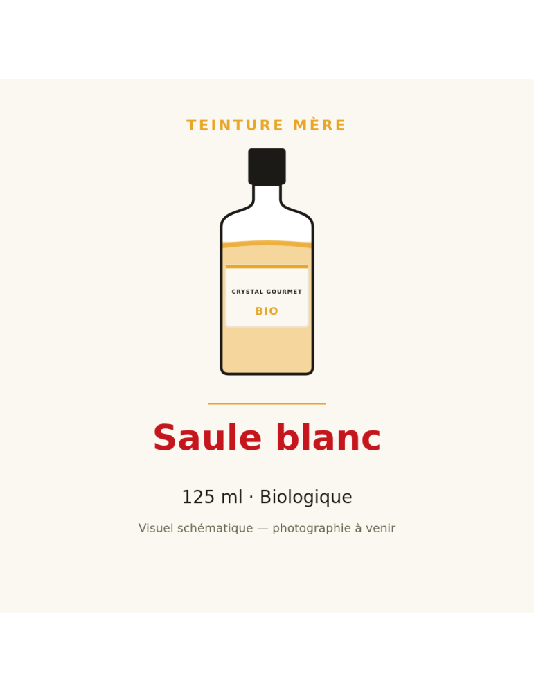 Teinture mère de Saule blanc bio - 125 ml