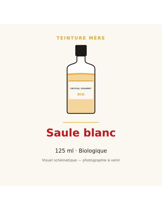 Teinture mère de Saule blanc bio - 125 ml