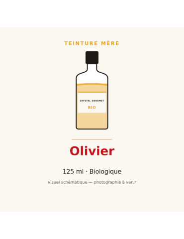 Teinture mère d'Olivier bio - 125 ml