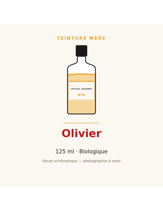 Teinture mère d'Olivier bio - 125 ml
