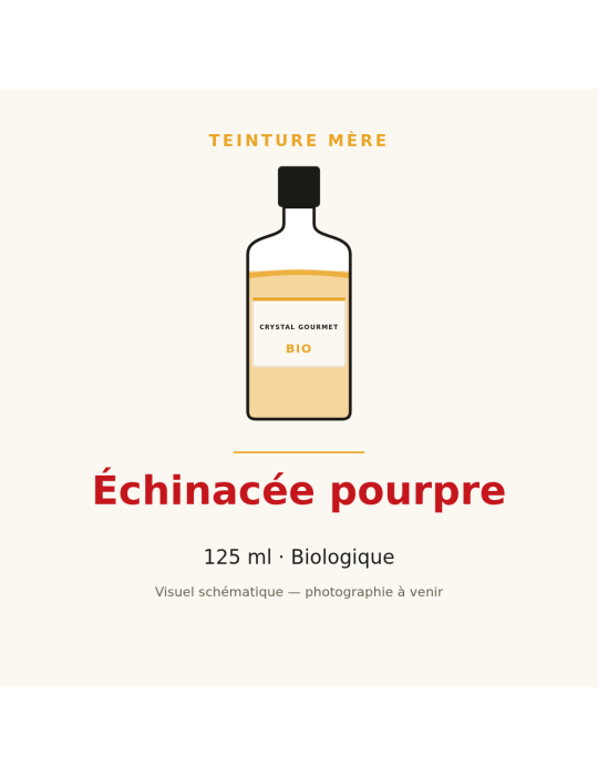 Teinture mère d'Échinacée pourpre bio - 125 ml | Crystal Gourmet