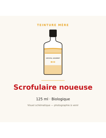 Teinture mère de Scrofulaire noueuse bio - 125 ml