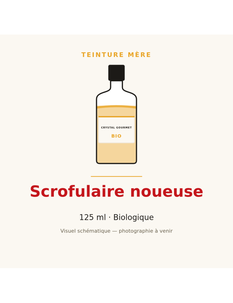 Teinture mère de Scrofulaire noueuse bio - 125 ml