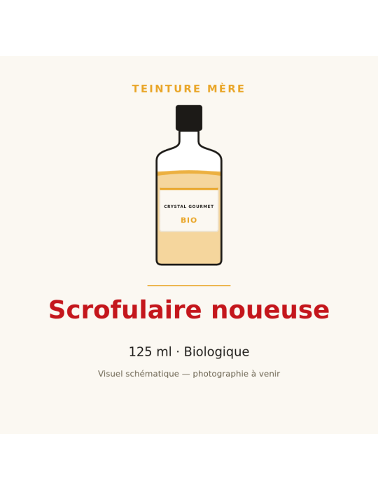 Teinture mère de Scrofulaire noueuse bio - 125 ml