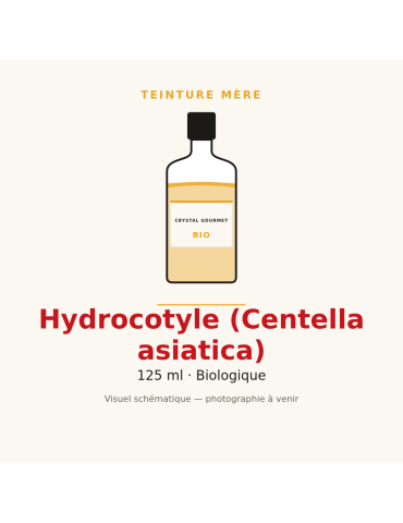 Teinture mère d'Hydrocotyle bio (Centella asiatica) - 125 ml