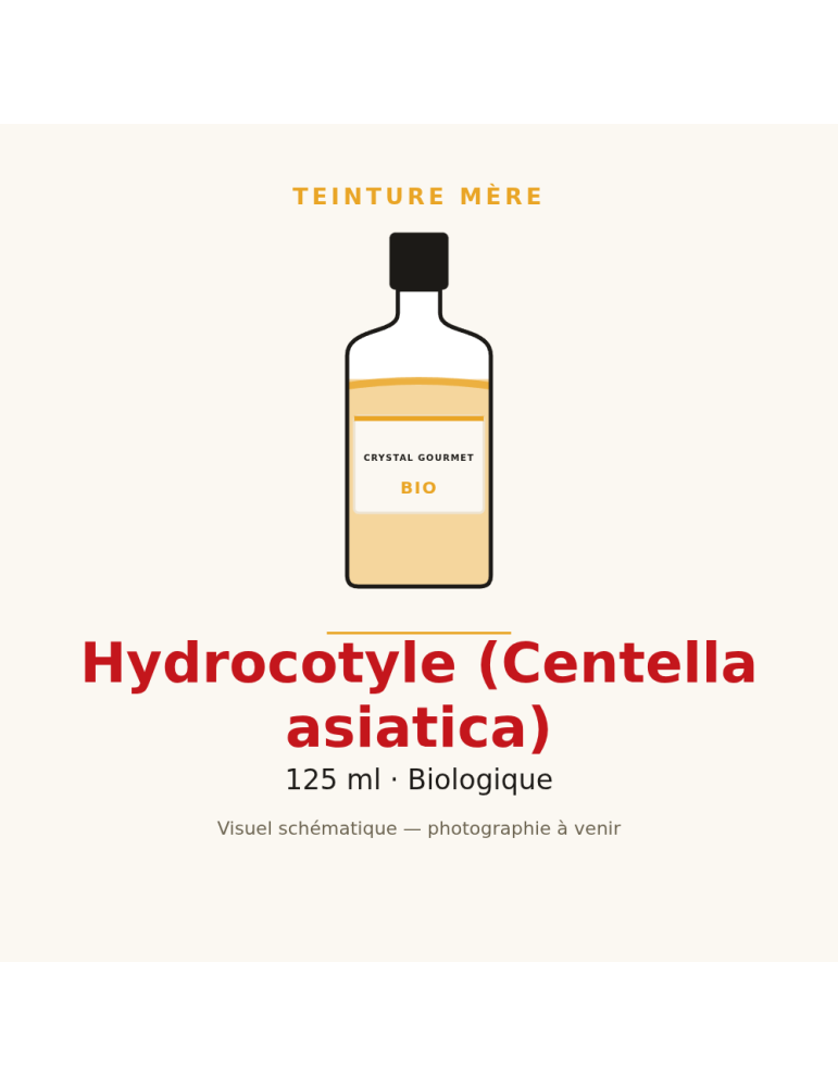 Teinture mère d'Hydrocotyle bio (Centella asiatica) - 125 ml