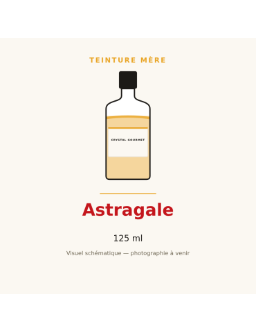 Teinture mère d'Astragale (Astragalus membranaceus) - 125 ml