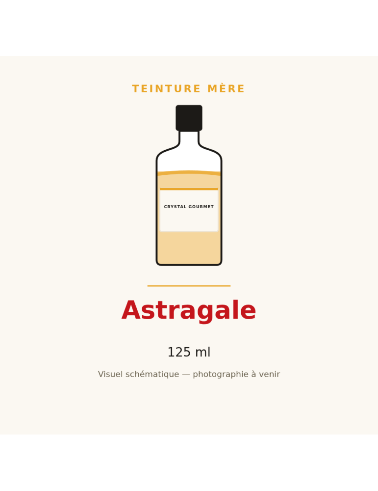 Teinture mère d'Astragale (Astragalus membranaceus) - 125 ml