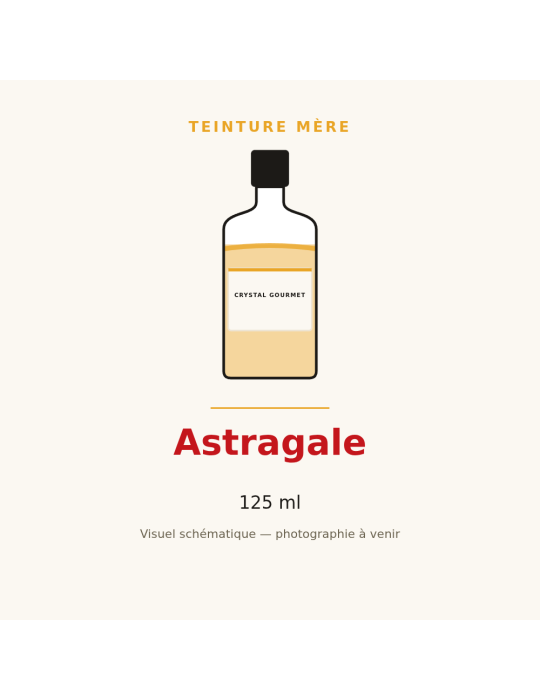 Teinture mère d'Astragale (Astragalus membranaceus) - 125 ml