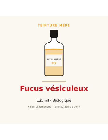 Teinture mère de Fucus vésiculeux bio - 125 ml