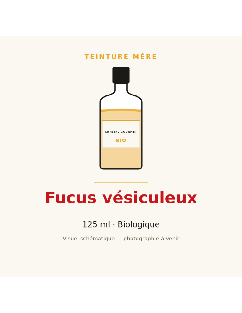 Teinture mère de Fucus vésiculeux bio - 125 ml