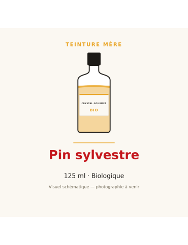 Teinture mère de Pin sylvestre bio - 125 ml