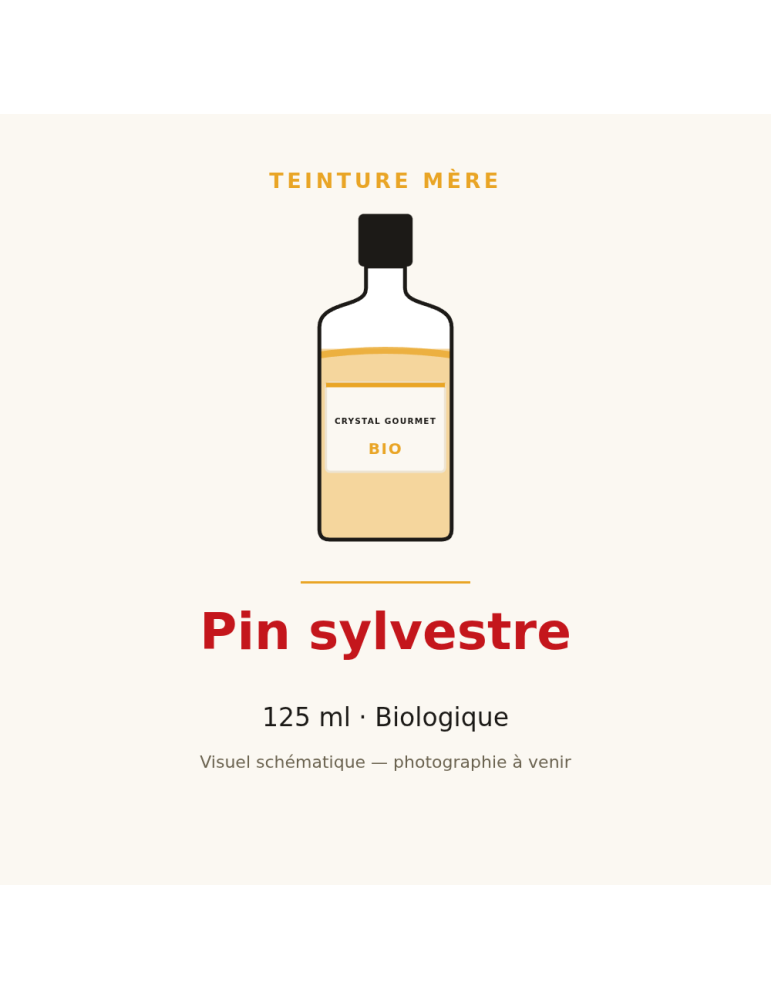 Teinture mère de Pin sylvestre bio - 125 ml