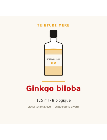 Teinture mère de Ginkgo biloba bio - 125 ml