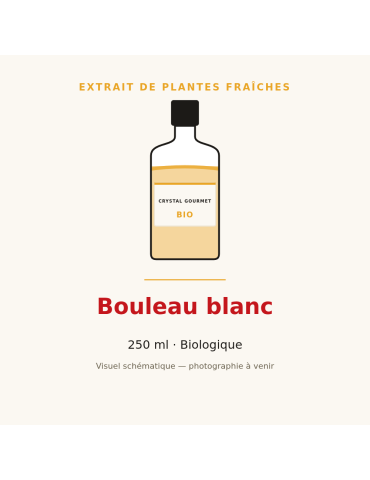 Bouleau blanc bio - extrait de plantes fraîches 250 ml