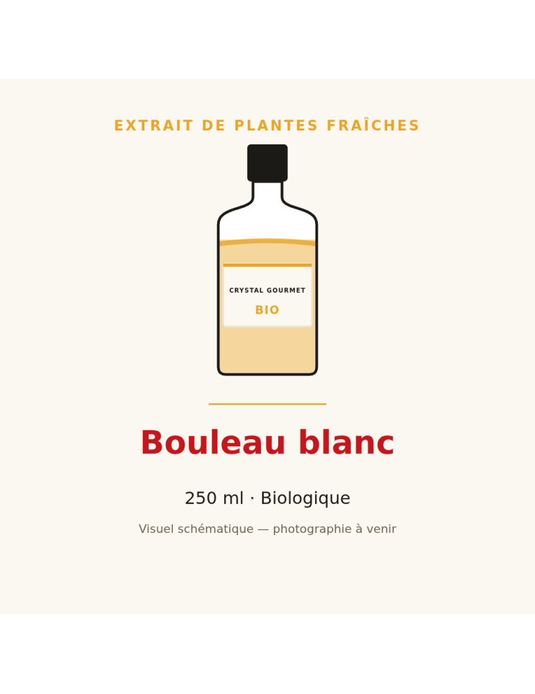 Bouleau blanc bio - extrait de plantes fraîches 250 ml