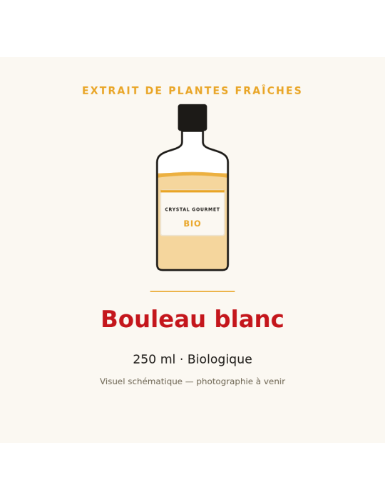 Bouleau blanc bio - extrait de plantes fraîches 250 ml