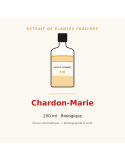 Extrait de plantes fraîches de Chardon-Marie bio - 250 ml