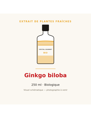 Extrait de plantes fraîches de Ginkgo biloba bio - 250 ml