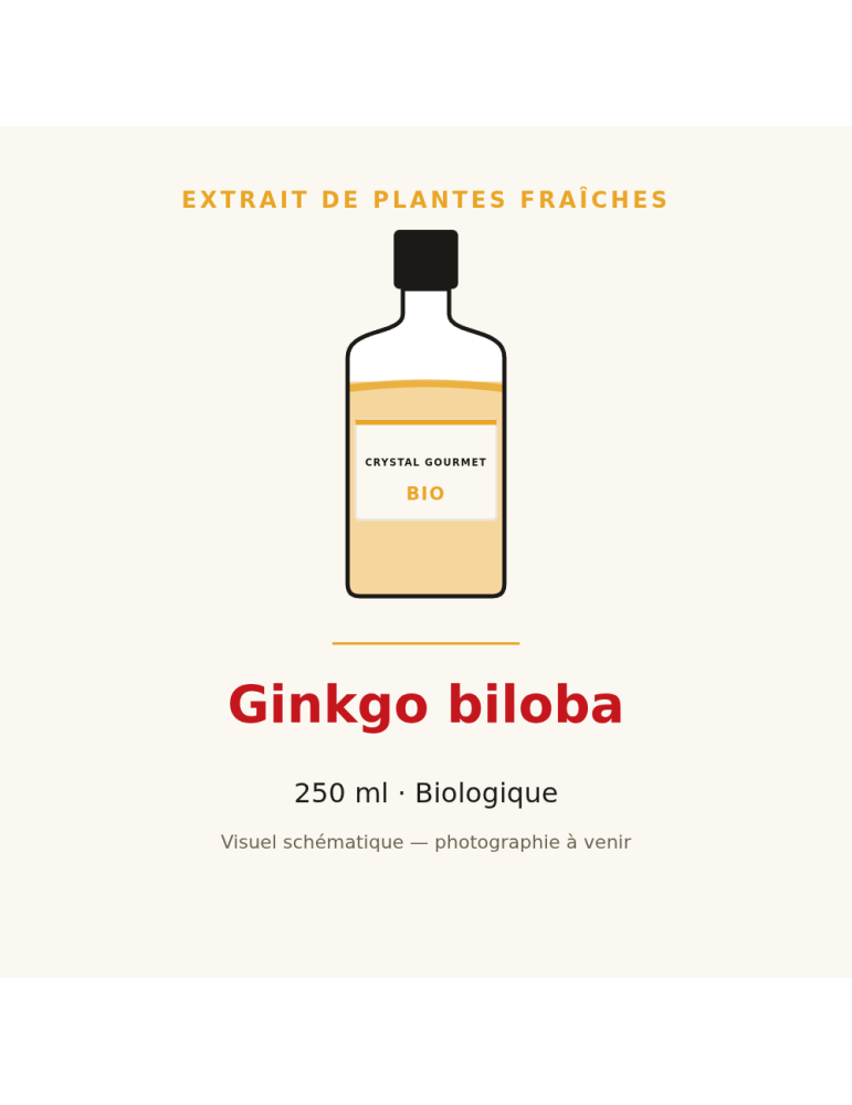 Extrait de plantes fraîches de Ginkgo biloba bio - 250 ml