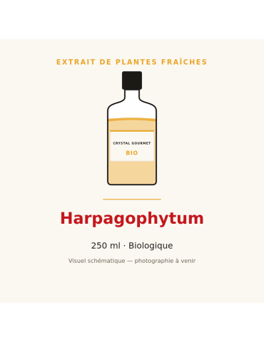 Extrait de plantes fraîches d'Harpagophytum bio - 250 ml