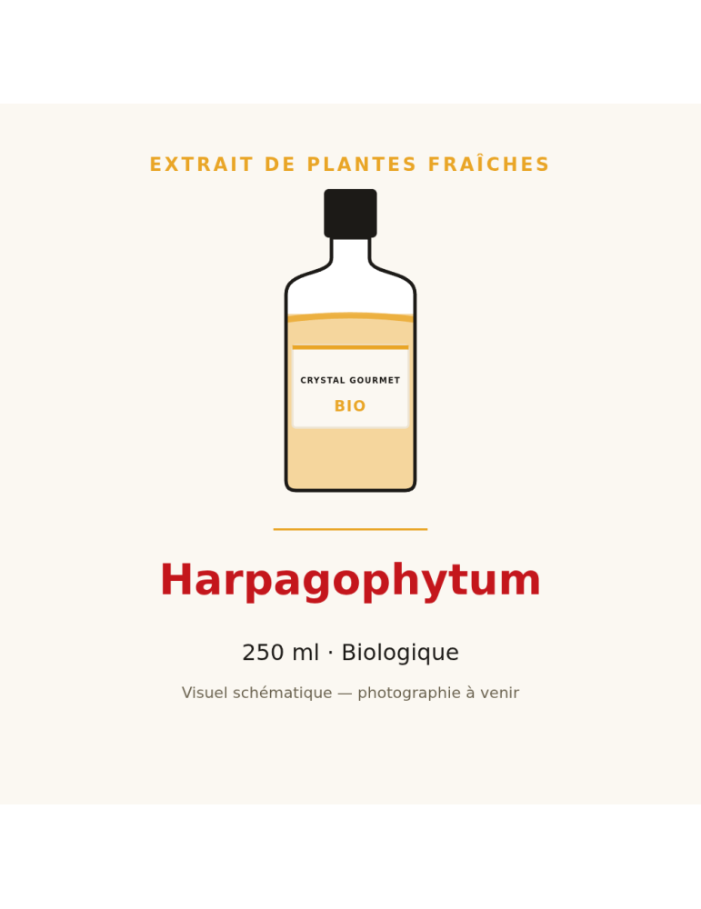 Extrait de plantes fraîches d'Harpagophytum bio - 250 ml