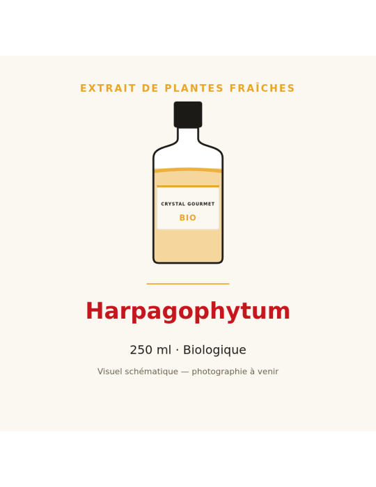 Extrait de plantes fraîches d'Harpagophytum bio - 250 ml