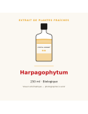 Extrait de plantes fraîches d'Harpagophytum bio - 250 ml