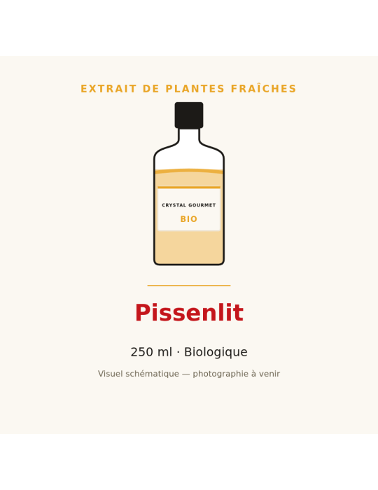 Extrait de plantes fraîches de Pissenlit bio - 250 ml