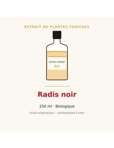 Extrait de plantes fraîches de Radis noir bio - 250 ml