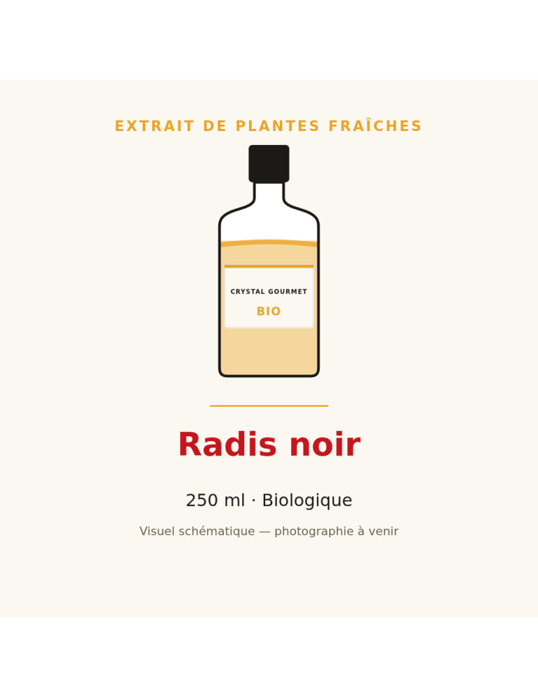 Extrait de plantes fraîches de Radis noir bio - 250 ml