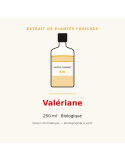 Extrait de plantes fraîches de Valériane bio - 250 ml