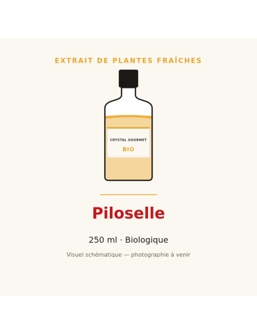 Extrait de plantes fraîches de Piloselle bio - 250 ml